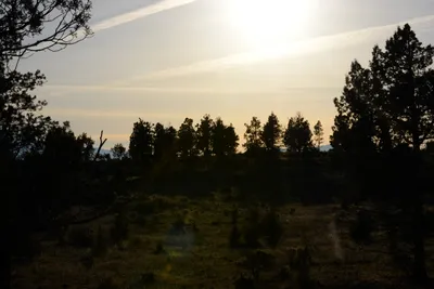 DSC_3032 (Large).JPG